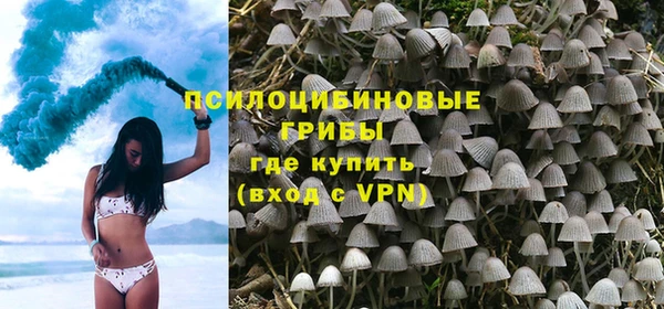 стафф Новодвинск