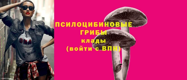 соль ск Новокубанск