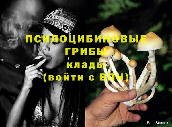 прущие грибы Нязепетровск