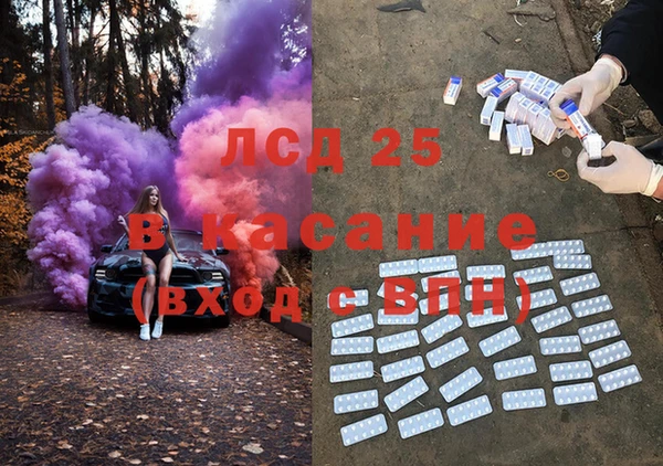 стафф Новодвинск