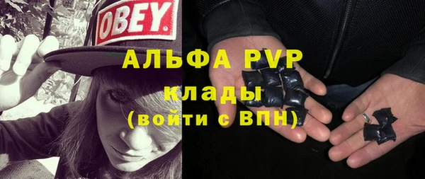 прущие грибы Нязепетровск