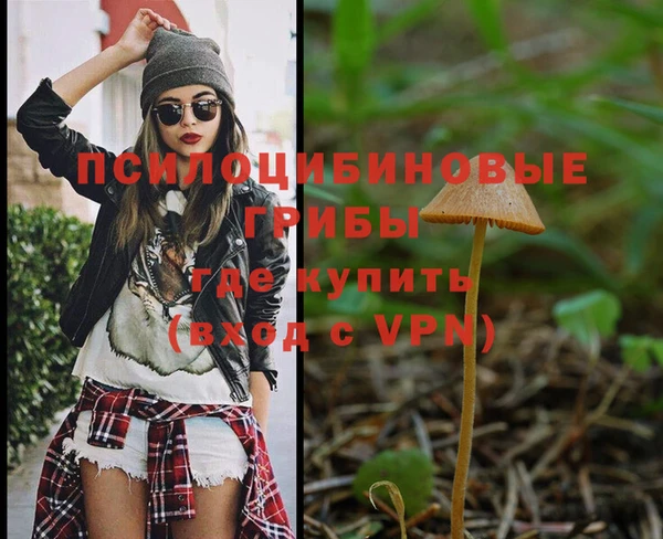 соль ск Новокубанск