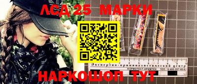 стафф Кандалакша