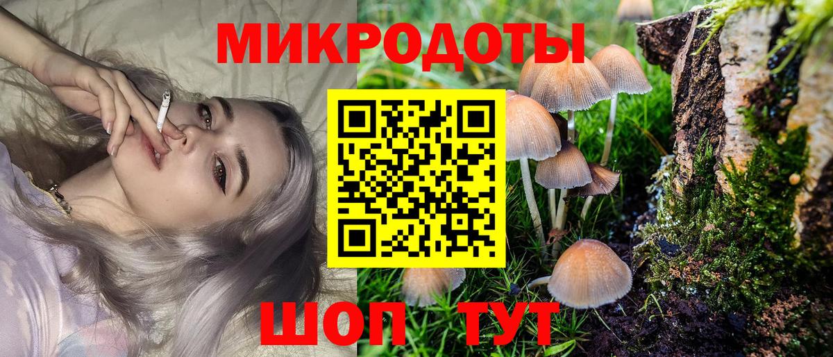 Павловский Посад  Псилоцибиновые грибы ЛСД  Вход с VPN 