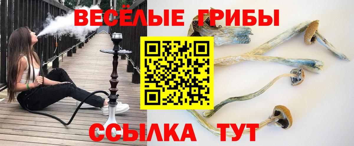 Псилоцибиновые грибы мицелий Павловский Посад
